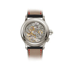 Patek Philippe Grand Complications 5373P-001 Split Seconds Perpetual Calendar 'Lefty' Chronograph Platinum (2023)