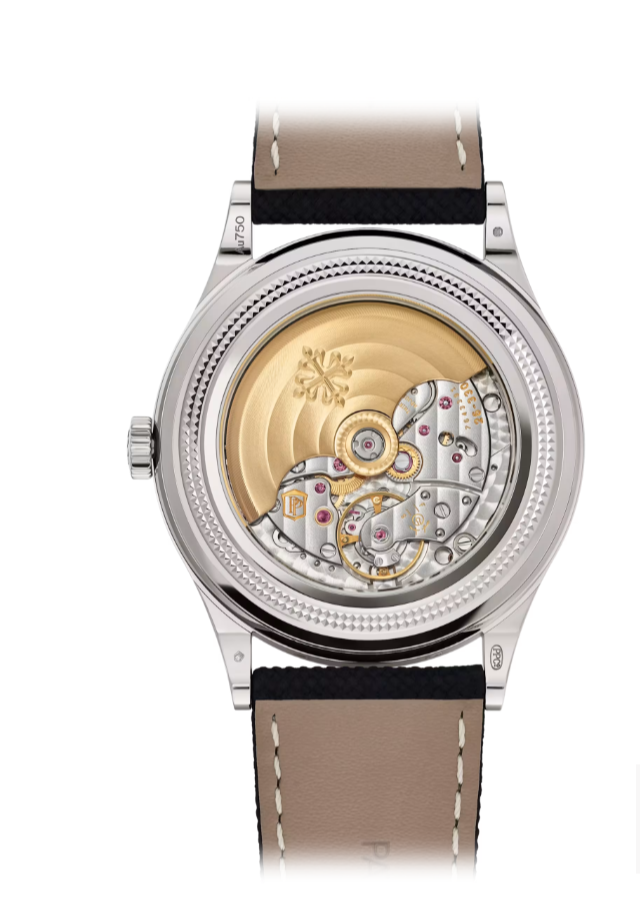 Patek Philippe Grand Complications 6159G-001 Perpetual Calendar Moon Phases White Gold Smoked Sapphire Dial (2025)
